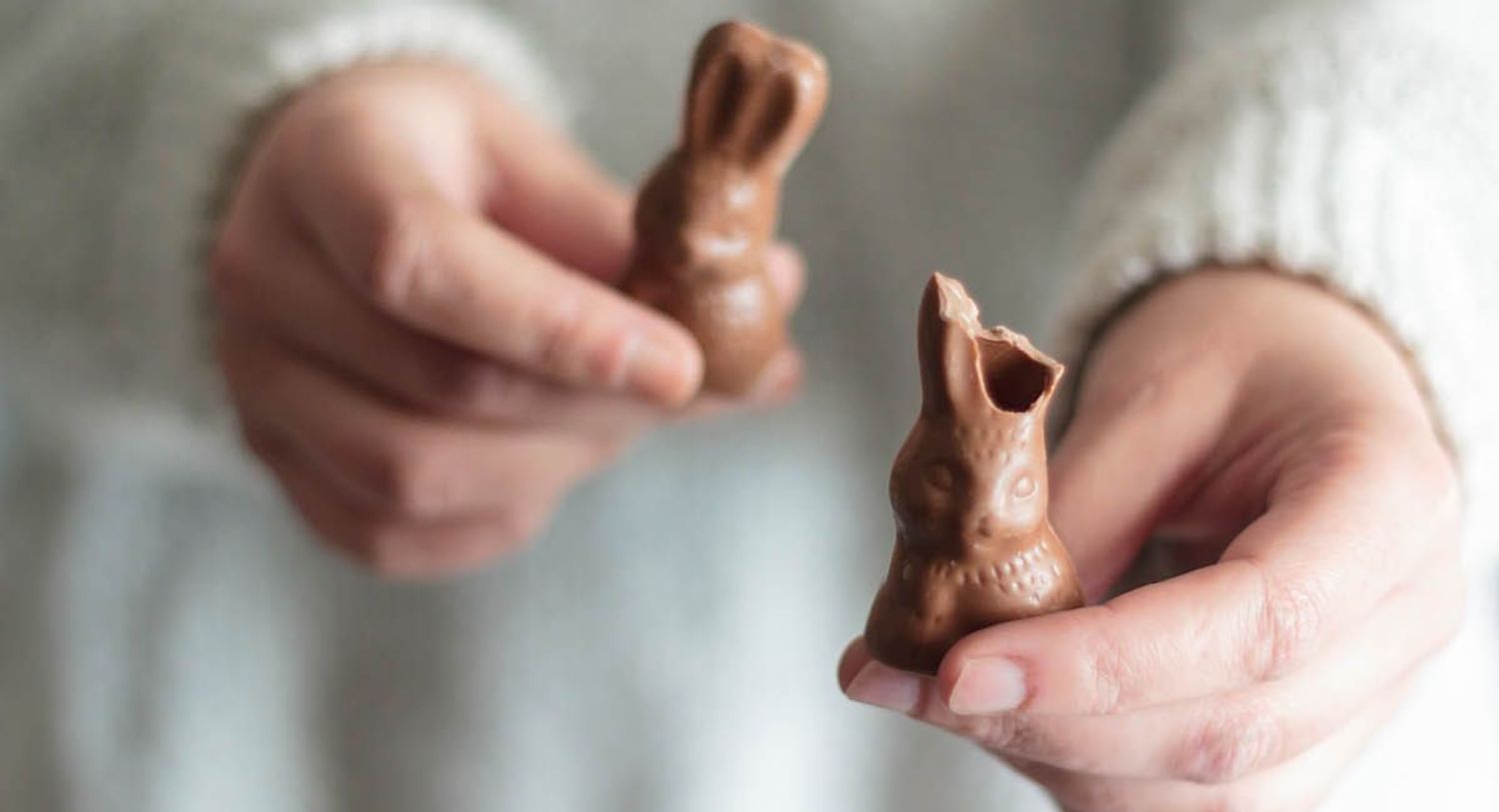 Child's hands holding two chocolate bunnies, one with ears eaten off