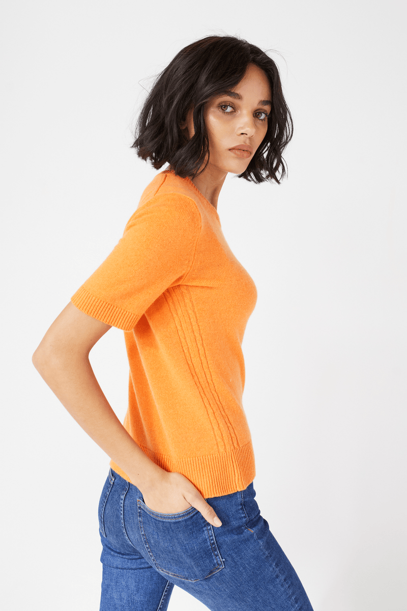 Clementine_main