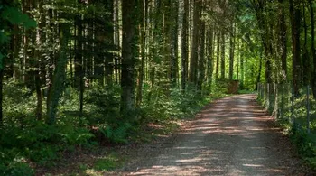 Dorfstrasse 4.5 Zimmer 1 OG Haus A03