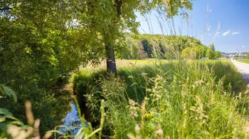 Dorfstrasse 4.5 Zimmer 1 OG Haus A03