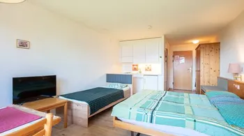 Gemütliches 1-Zimmer-Studio mit Bergsicht in Aeschi bei Spiez kaufen