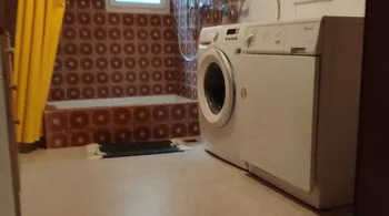 4.5-Zimmer-Reihenhaus mit Wintergarten in Aarau mieten