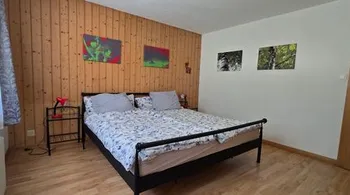 Investieren, wo andere träumen – Ihr AirBnB-Juwel im Berner Oberland