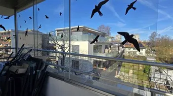 Helle 4.5-Zimmer-Wohnung mit Panoramabalkon in Bern Bümpliz – Ihr neues Zuhause mit Weitblick