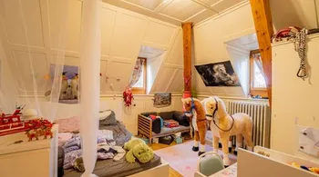 Fabrikantenvilla mit drei Wohnungen inkl. Baulandreserve und Landwirtschaftsland