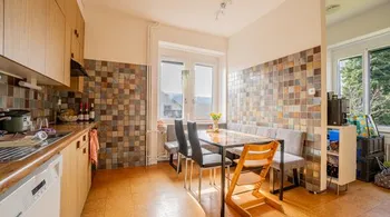 Fabrikantenvilla mit drei Wohnungen inkl. Baulandreserve und Landwirtschaftsland