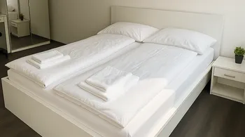 4.5-Zi.-Airbnb-Wohnung mit Balkon in Interlaken kaufen