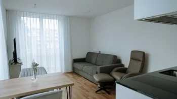 Möbliertes 1.5-Zimmer-Studio, modern und zentral, Dübendorf mieten