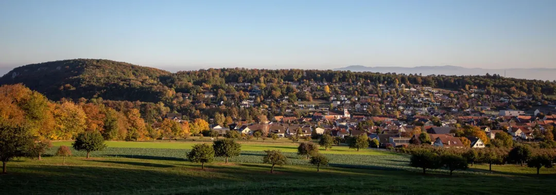 Hofstetten-Flüh SO