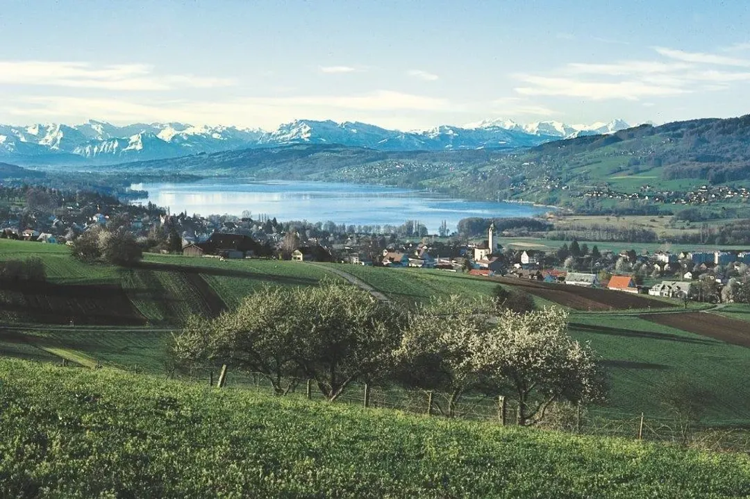 Hallwil AG