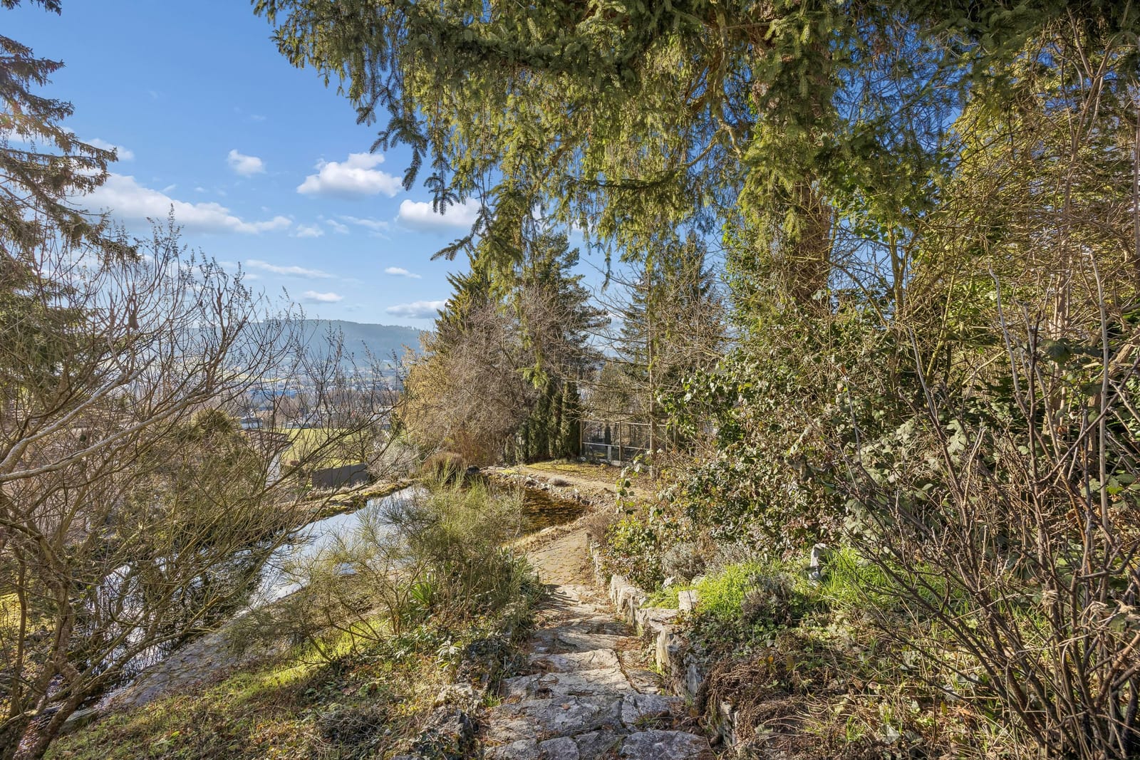 Jugendstilvilla in Reinach mit aussergewöhnlichem Parkgarten — Ansicht 30