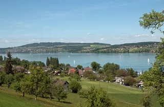 Makrolage