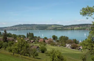 Makrolage