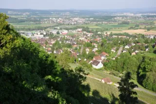 Makrolage