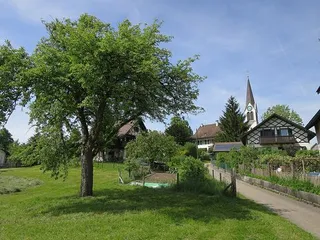 Makrolage