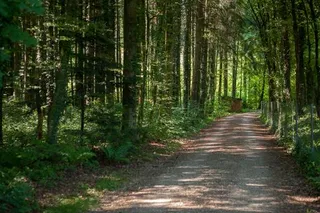 Objektbild Dorfstrasse 10, 5314 Böttstein