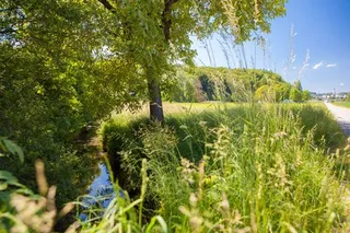 Objektbild Dorfstrasse 10, 5314 Böttstein