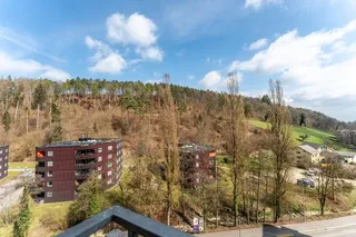 Objektbild Hauentalstrasse 159, 8200 Schaffhausen