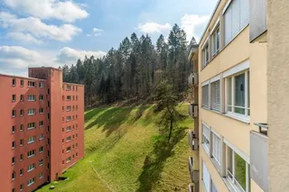 Objektbild Hauentalstrasse 159, 8200 Schaffhausen