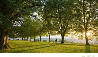 Objektbild Hombergstrasse 37, 5712 Beinwil am See