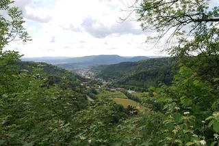 Makrolage
