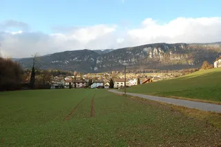 Makrolage