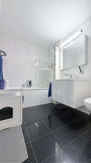 Objektbild Sonnenpark 28, 8808 Pfäffikon