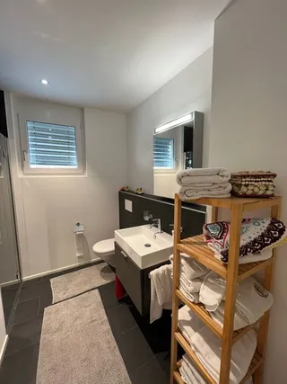 Objektbild Oberer Mühlestettenweg 18, 4450 Sissach