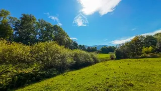 Objektbild Grabe 9, 1716 Oberschrot