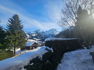Objektbild Obere Fangstrasse 1, 3782 Lauenen