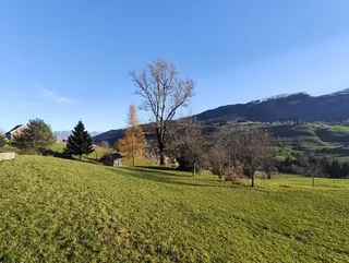 Objektbild Moos 1382, 9658 Wildhaus-Alt Sankt Johann