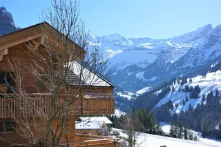 Objektbild Rossistrasse 21, 3723 Kiental