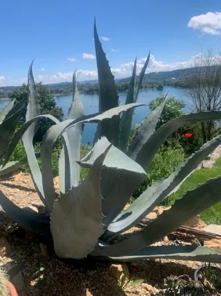 Objektbild Tessenbergstrasse 22, 2505 Biel