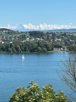 Objektbild Tessenbergstrasse 22, 2505 Biel