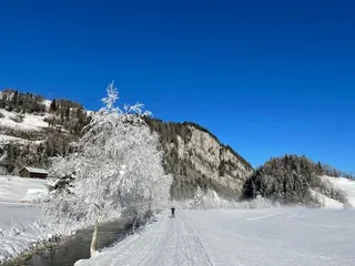 Objektbild Sunnhaldenstrasse 6, 8844 Euthal