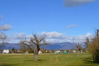 Objektbild Koppigenstrasse 42, 3427 Utzenstorf