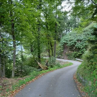 Objektbild Untere Anggetlinstrasse , 8897 Flumserberg Tannenheim