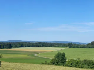 Objektbild Büelstrasse 4, 8317 Tagelswangen