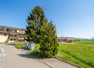 Objektbild Im Böppeler , 8514 Amlikon-Bissegg