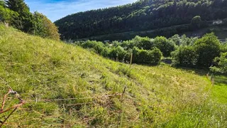 Objektbild Kamberweg , 4444 Rümlingen