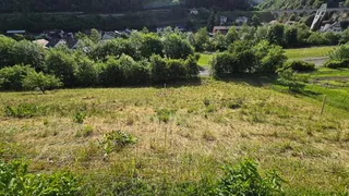 Objektbild Kamberweg , 4444 Rümlingen