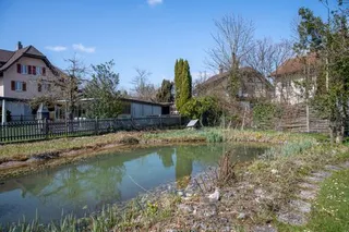 Objektbild Neuquartierstrasse 49, 4562 Biberist