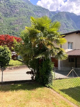 Objektbild Via Giuseppe Motta , 6710 Biasca
