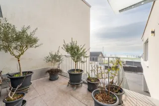 Objektbild Rütistrasse 1b, 6233 Büron