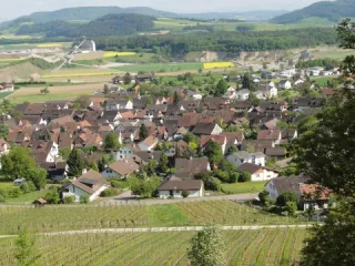 Makrolage