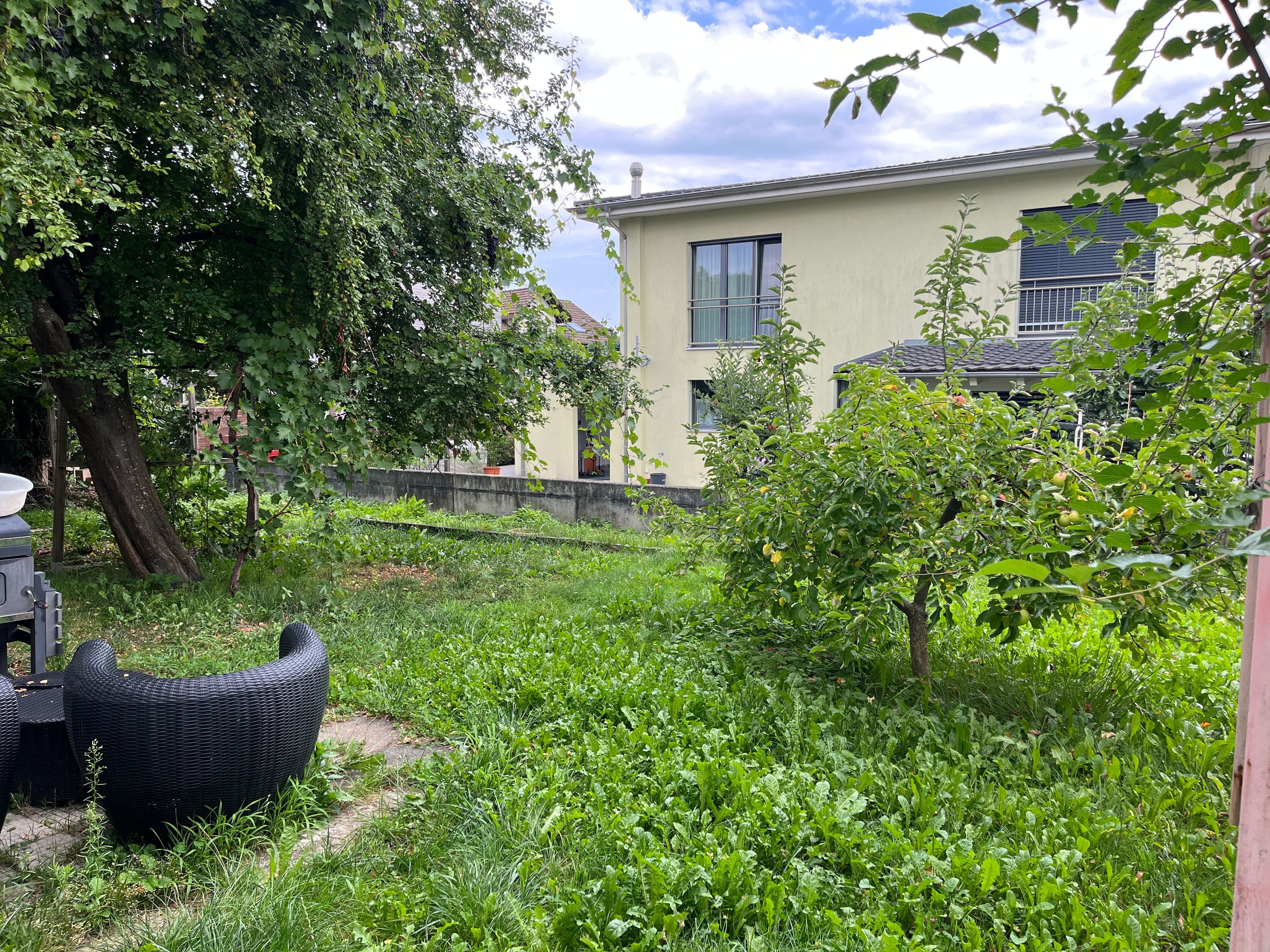 Top-Deal: Mehrfamilienhaus mit 6.5% Rendite! PREISREDUKTION! - Bild 7