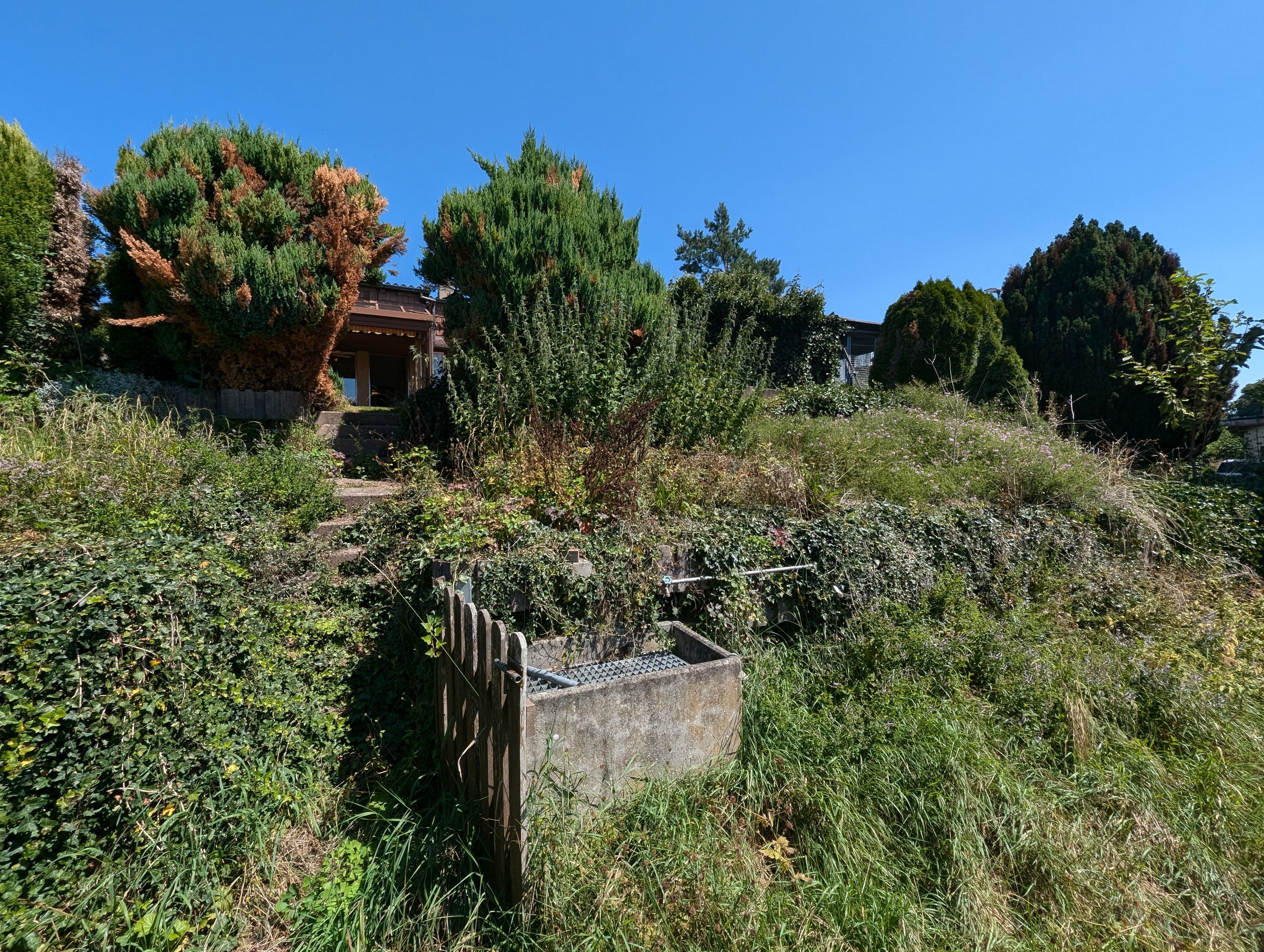 Freistehendes 5½ Zimmer-Einfamilienhaus - Bild 24