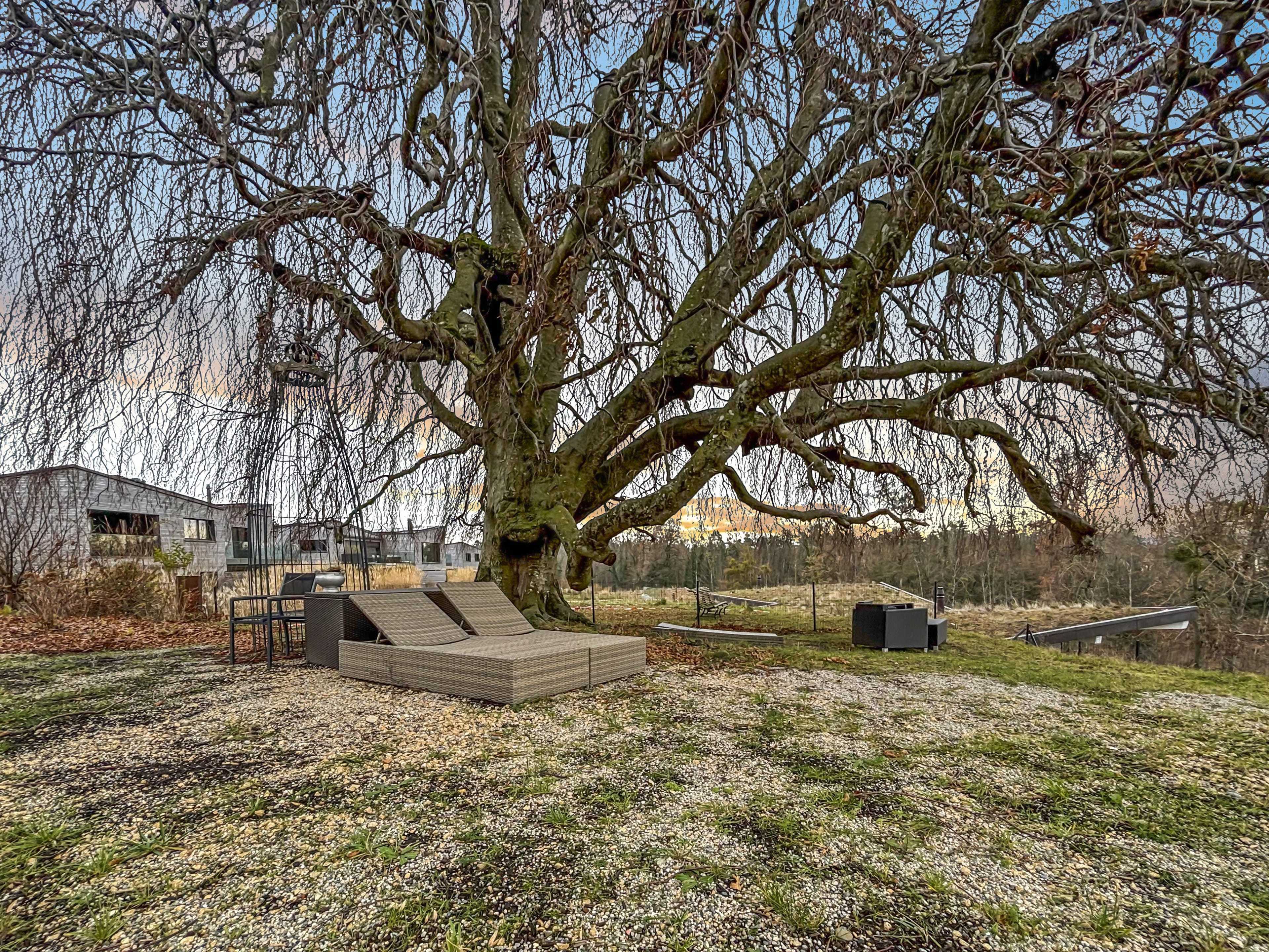 EXKLUSIVE SEEUFER-RESIDENZ DIREKT AM NEUENBURGERSEE - 46
