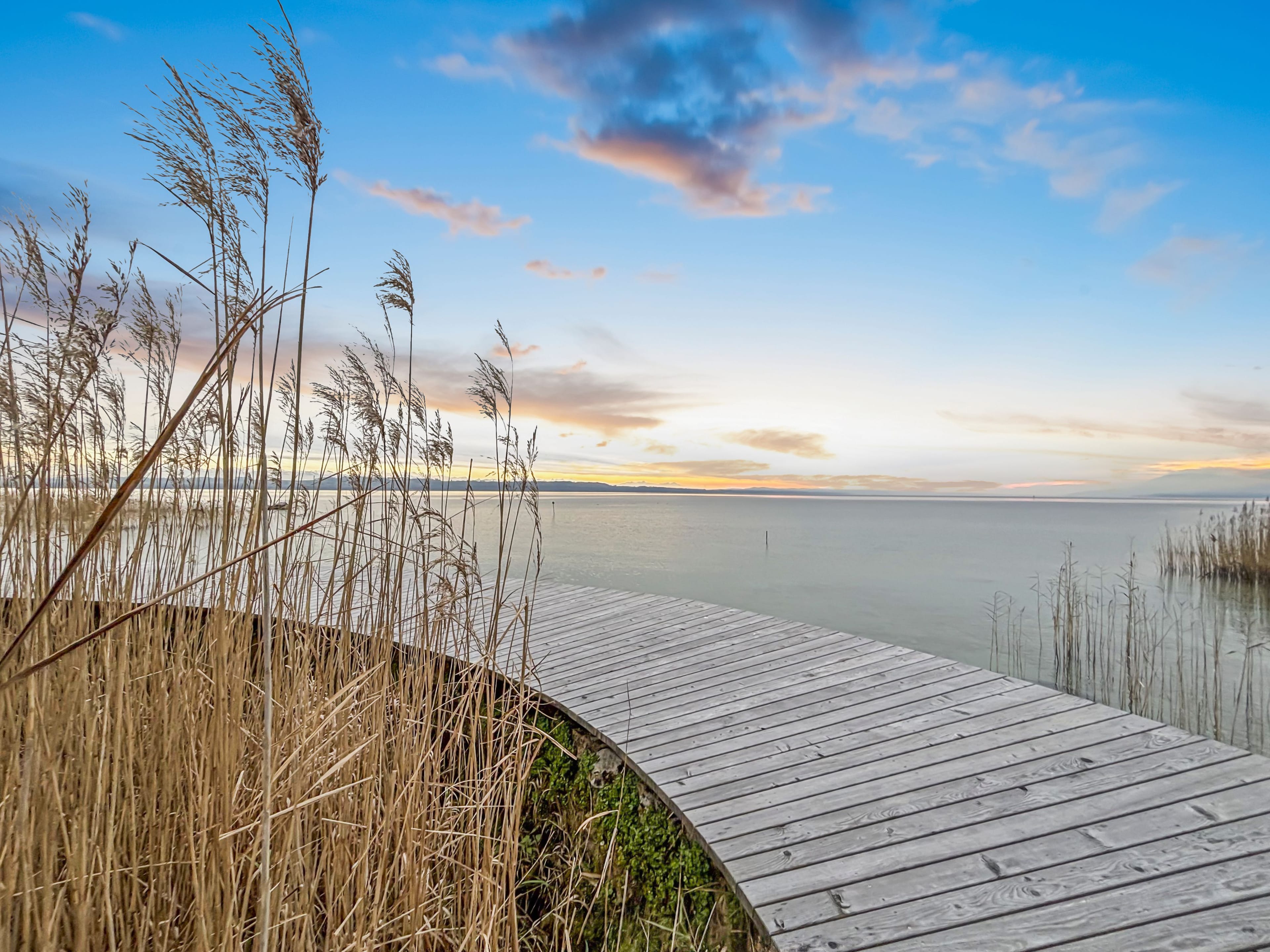 EXKLUSIVE SEEUFER-RESIDENZ DIREKT AM NEUENBURGERSEE - Bild 6