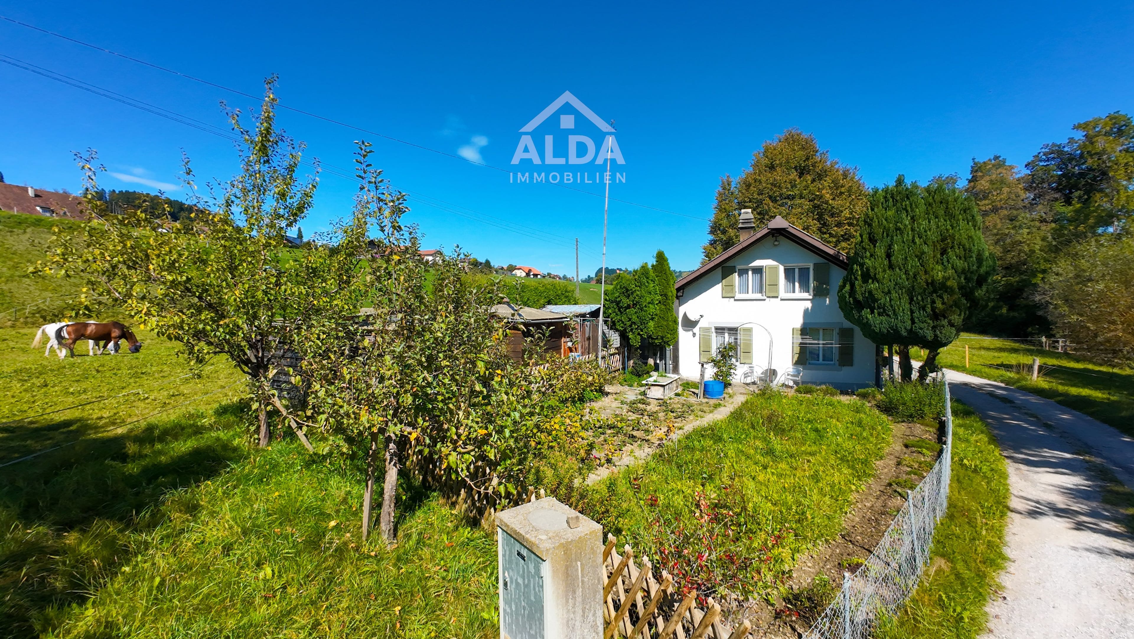 Einfamilienhaus mit grossem Grundstück an idyllischer Lage - Bild 3